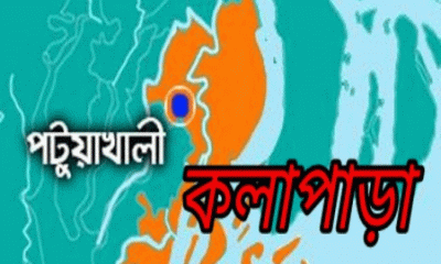 কলাপাড়ায় গভীর রাতে সরকারী খাস পুকুর থেকে লক্ষ লক্ষ টাকার মাছ উধাও