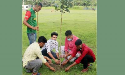 নড়াইলে ছাত্রলীগের উদ্যোগে বৃক্ষরোপণ