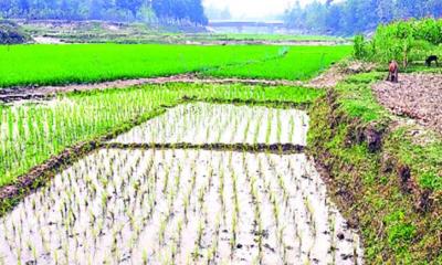 জয়পুরহাটে দখল দূষণে অস্তিত্বহীন চার নদী