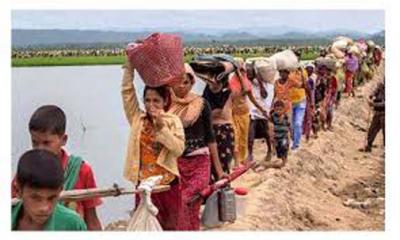 আইসিজে’তে গাম্বিয়ার সাথে যোগ দেয়ার কথা ঘোষণা করেছে মালদ্বীপ 