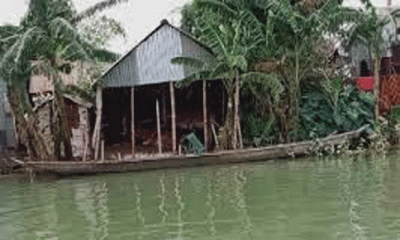 সুনামগঞ্জের ব্যবসায়ীরা কোরবানির গরু-ছাগল নিয়ে দুশ্চিন্তায়