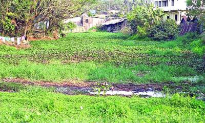 দখলে-দূষণে শেষ লক্ষ্মীপুরের রহমতখালী