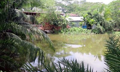 কলাপাড়ায় বসতবাড়ি দখল ও মাছ লুটের অভিযোগ 