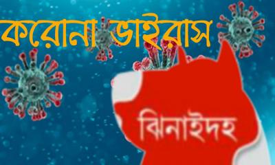 ঝিনাইদহে সাবেক সাংসদসহ আরও সাত জন করোনায় আক্রান্ত