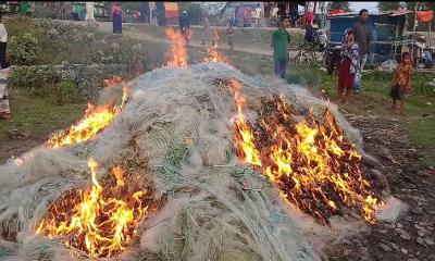 লক্ষ্মীপুরে ইলিশ ধরার দায়ে ১৫ জেলে আটক ও নৌকা জব্দ