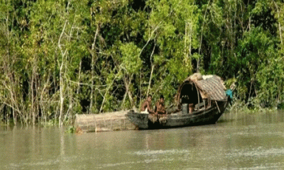 দুর্যোগে দিশেহারা সুন্দরবনের পেশাজীবীরা