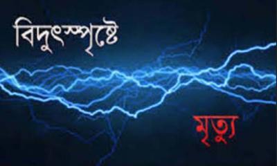 বগুড়ায় বিদ্যুতায়িত হয়ে বাবা-ছেলের মৃত্যু