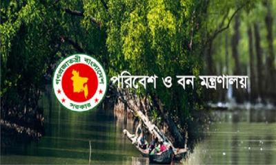 এখন থেকে লাইসেন্স ছাড়া পাখি বেচা-কেনা নয়