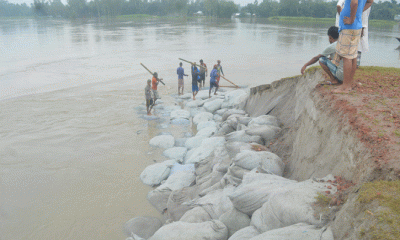 উলিপুরে ১২ কোটি টাকা ব্যয়ে নির্মিত টি-বাঁধ ভাঙ্গনের মুখে