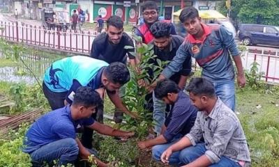 সলিমুল্লাহ মুসলিম হলের সাবেক ভিপি কামালের উদ্যোগে বৃক্ষরোপন