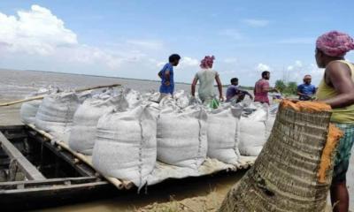 বাঘায় পদ্মায় ভাঙন, জিও ব্যাগ ফেলে রক্ষার চেষ্টা