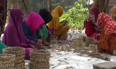 গাইবান্ধার তৈরী কচুরীপানার সামগ্রী বিক্রি হচ্ছে বিদেশে