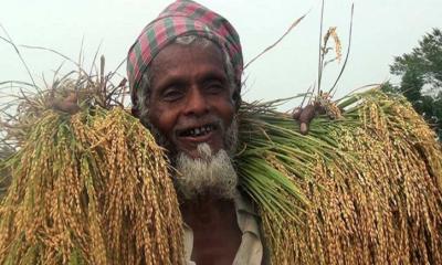 বর্গাচাষিদের জন্য বিশেষ উদ্যোগ প্রয়োজন