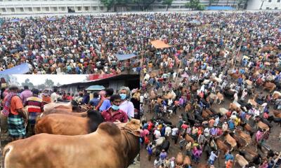 বগুড়ার মহাস্থান পশুর হাটে স্বাস্থ্যবিধি নেই