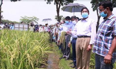 কৃষকদের ৪২ কোটি টাকার প্রণোদনা: কৃষিমন্ত্রী