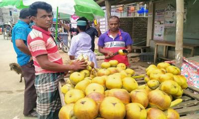 তালশাঁসের চাহিদা বেড়েছে চুনারুঘাটে