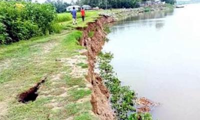 উল্লাপাড়ায় নদী ভাঙ্গনে বিলীন ঘরবাড়ি ফসলী জমি