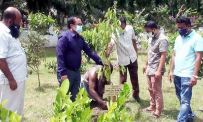 গোপালগঞ্জে বৃক্ষ রোপন কর্মসূচী পালন