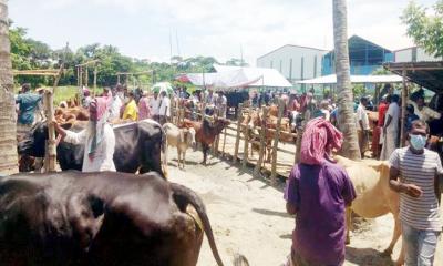 বরিশালে বসেছে ৪৮টি পশুর হাট