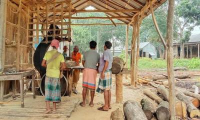 টাঙ্গাইলে সংরক্ষিত বনে ৫২৩ টি অবৈধ করাতকল