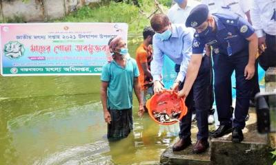 ভোলায় মাছের পোনা অবমুক্ত