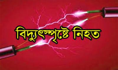 দুমকিতে বিদ্যুৎপৃষ্ট হয়ে শ্রমিকের মৃত্যু