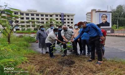 জাতীয় শোক দিবস উপলক্ষে নোবিপ্রবিতে বৃক্ষরোপণ