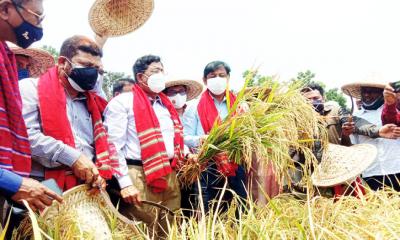 জনসংখ্যা বাড়লেও খাদ্য নিরাপত্তায় চ্যালেঞ্জ মোকাবেলা করা সম্ভব হচ্ছে