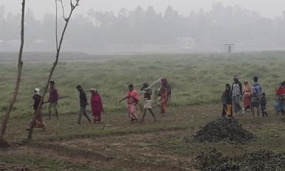 তহশিলদারের মদদে জোর করে ফসল কর্তন