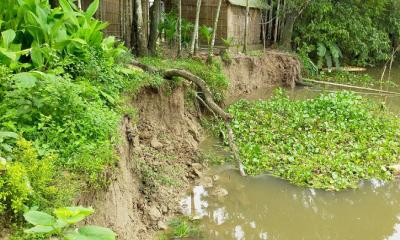 সুরিয়া নদী ভাঙনের কবলে বসতবাড়ি-গ্রামীণ সড়ক