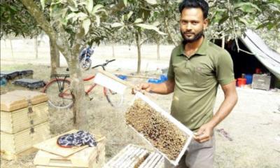 ফরিদপুরে মধু আহরনে মাঠে মাঠে মৌ চাষীরা