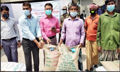 নড়াইলে বিনামূল্যে কৃষি উপকরন বিতরণ 