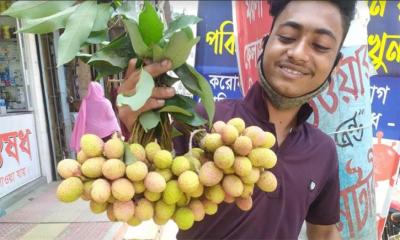 কুষ্টিয়ার বাজারে কেমিক্যাল দিয়ে পাকানো অপক্ক লিচু 