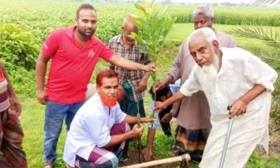 মেহেরপুরে বৃক্ষরোপণ কর্মসূচির উদ্বোধন