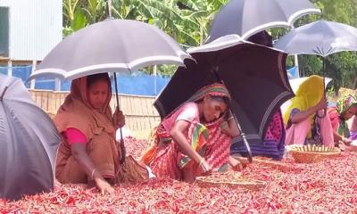 পুরুষরা ঘরে, বাইরে কাজ করে সংসার চালাচ্ছেন নারীরা