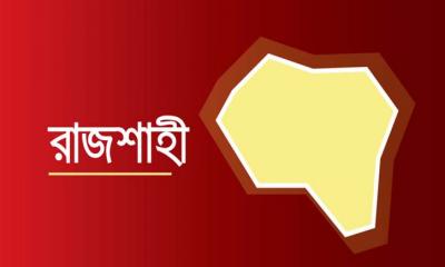 ধুলা বাড়িতে ঢোকায় পিটিয়ে হাত ভাঙ্গলেন গৃহিণীর