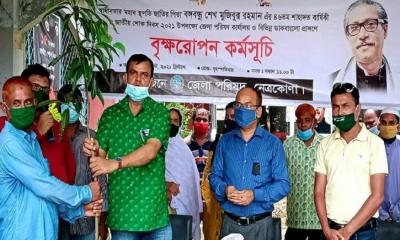 নেত্রকোণা জেলা পরিষদের উদ্যোগে বৃক্ষরোপন কর্মসূচী