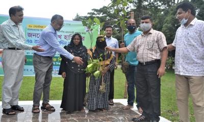 প্রধানমন্ত্রীর ৭৫তম জন্মদিনে বাকৃবিতে বৃক্ষরোপন