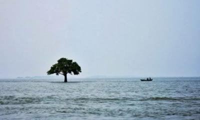 নিকলী হাওরে গোসলে নেমে নিখোঁজ থাকা দুই পর্যটকের মরদেহ উদ্ধার