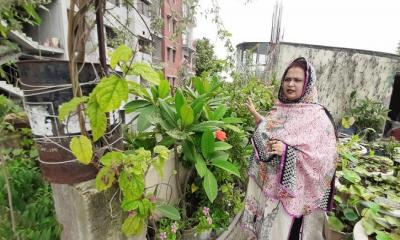 ছাদ কৃষিতে প্রধানমন্ত্রীর প্রথম পুরস্কার  পাচ্ছেন উদ্যোক্তা মুনমুন