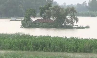 টাঙ্গাইলে দুই উপজেলায় বাঁধ ও সড়ক ভেঙে নিম্নাঞ্চল প্লাবিত