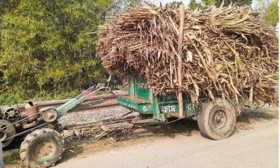 চুয়াডাঙ্গায় পাওয়ারট্রিলারের ধাক্কায় শিশু নিহত 