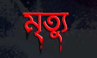 দুই ছেলের মারামারি ঠেকাতে গিয়ে মায়ের মৃত্যু