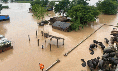 নেপালে বন্যা ও ভূমিধসে ৩৩ জনের মৃত্যু