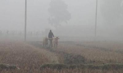 টানা এক সপ্তাহ ধরে সর্বনিম্ন তাপমাত্রা তেঁতুলিয়ায়